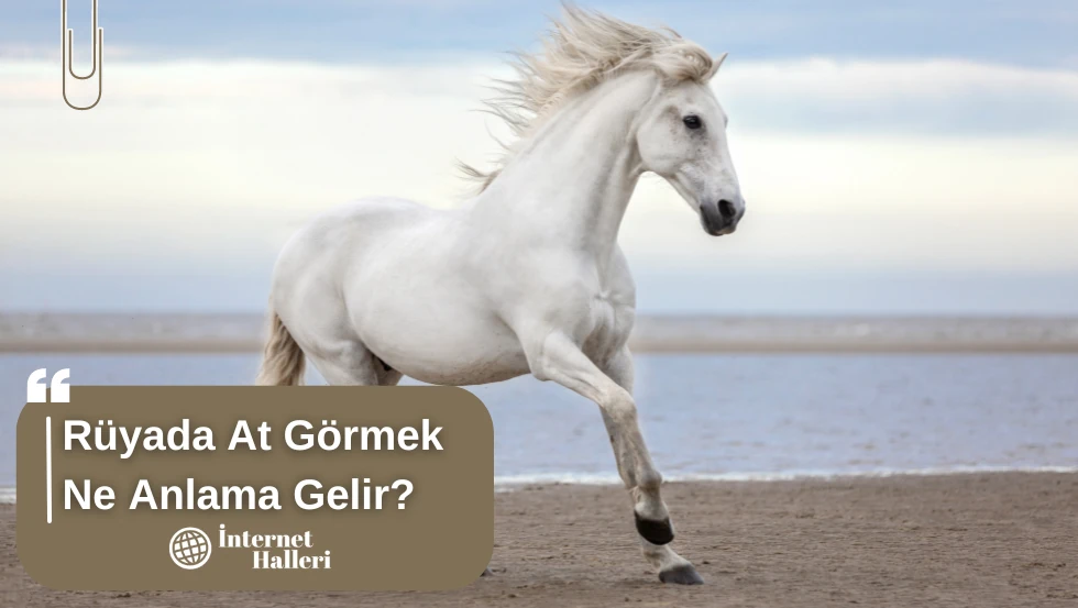 Rüyada At Görmek Ne Anlama Gelir?