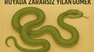 rüyada zararsız yılan görmek