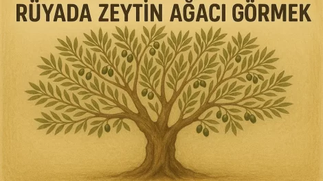 rüyada zeytin ağacı görmek ne anlama gelir