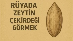 rüyada zeytin çekirdeği görmek