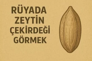 rüyada zeytin çekirdeği görmek