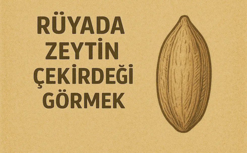 rüyada zeytin çekirdeği görmek