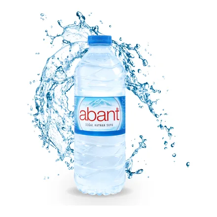 Abant Doğal Kaynak Suyu 0,5 litre PET şişe