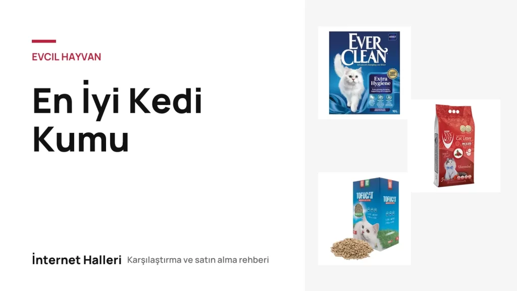 En İyi Kedi Kumu – İnternet Halleri kapak görseli