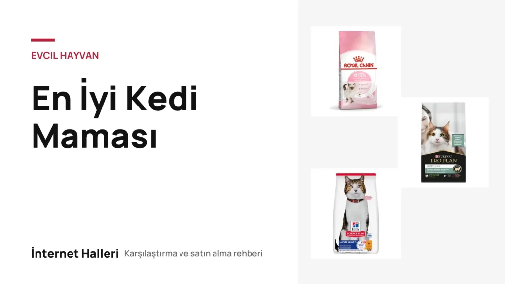 En İyi Kedi Maması – İnternet Halleri kapak görseli