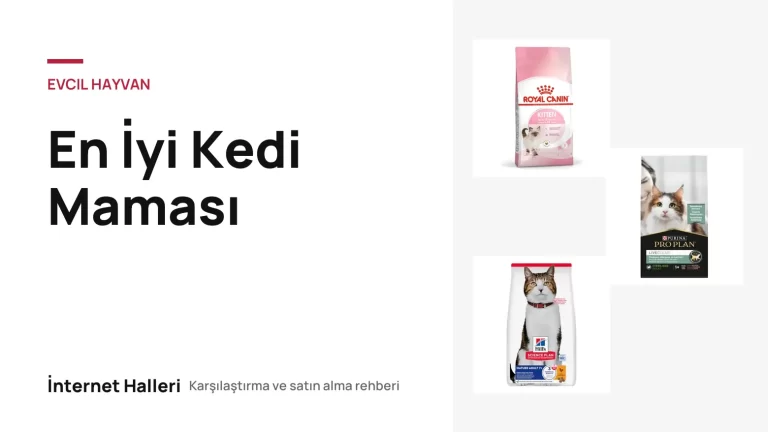 En İyi Kedi Maması – İnternet Halleri kapak görseli