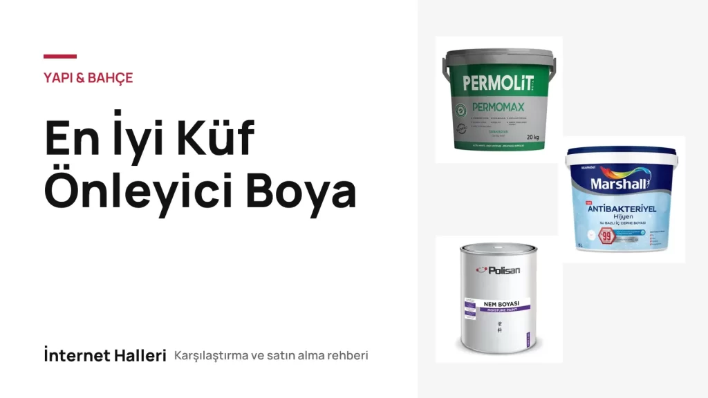 En İyi Küf Önleyici Boya – İnternet Halleri kapak görseli