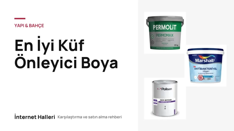 En İyi Küf Önleyici Boya – İnternet Halleri kapak görseli